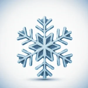 Snowflake Technique