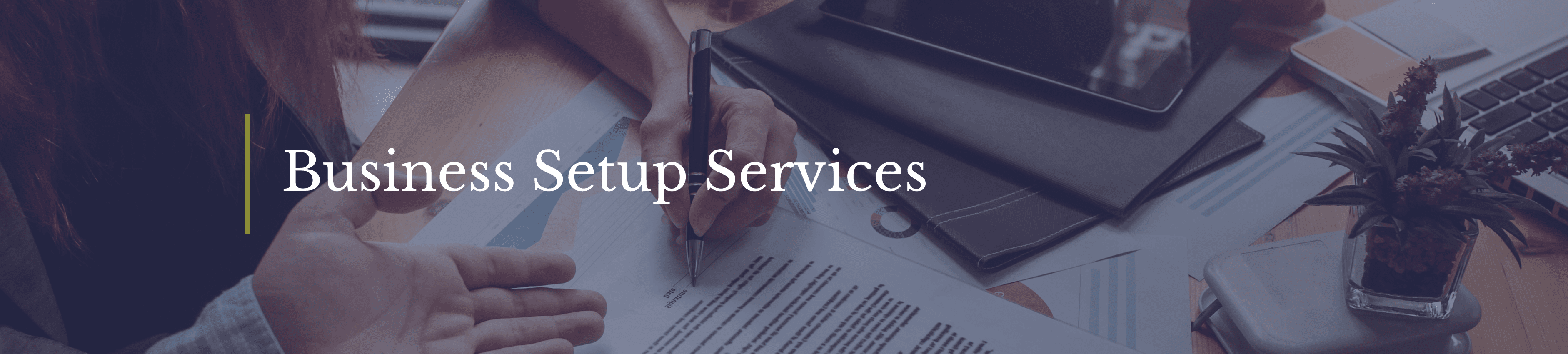 Business Setup Services